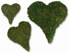  Moos-Herz, 10,5 cm, 5 Stck