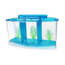 Mini-Zuchtbecken, Aquarium