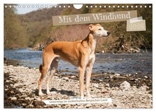 Mit dem Windhund unterwegs im