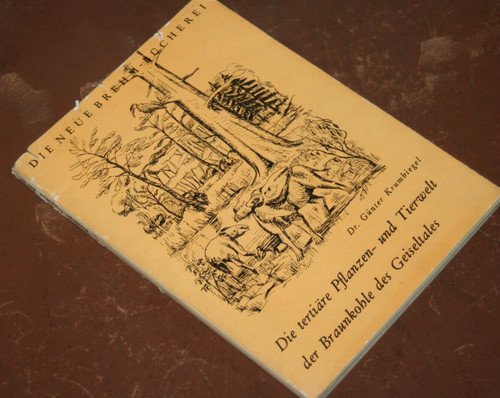 Krumbiegel die tertiäre - krumbiegel,