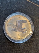 Silbermünze Kanada