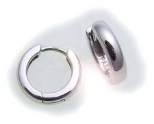 Ladies' earrings hinged hoop