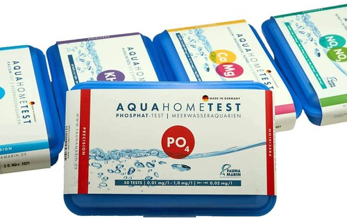 Fauna marin aqua home - home, po4