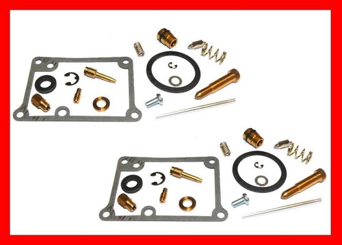 Vergaser reparatur satz - reparatur, x2