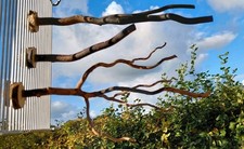 3 Sitzstangen für Kanarienvögel, Sittiche, Finken