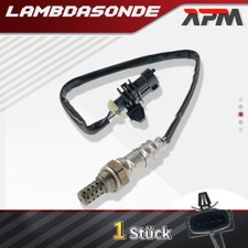 Lambdasonde Regelsonde vor