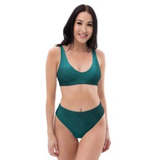 Ineedcolor high waisted bikini - high-waisted,