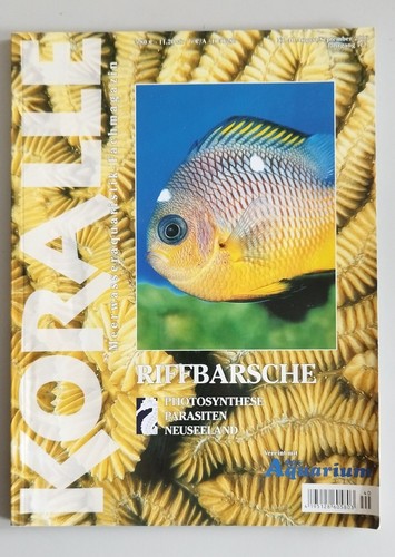 Koralle 40 riffbarsche - nr.,