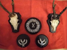 Konvolut, Rehbock Trophäe