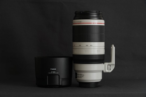 Canon 100 400 - mm, f/4.5-5.6