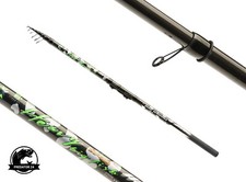 Hybrid Bolognese Jaxon Heavy