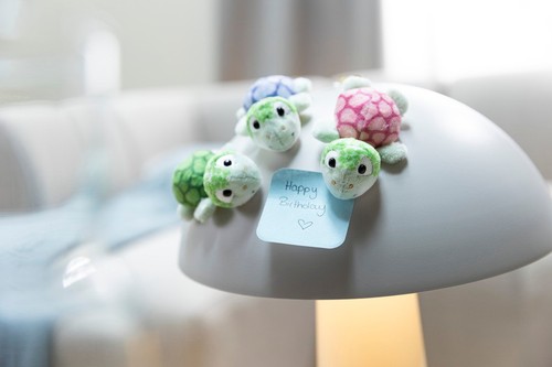 Nici auswahl mini magnici - *auswahl*,