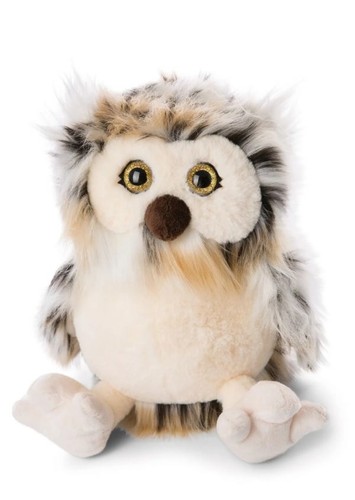 Nici eule aurina - eule,