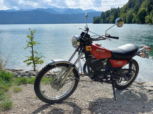 Suzuki 250 m - suzuki, ts