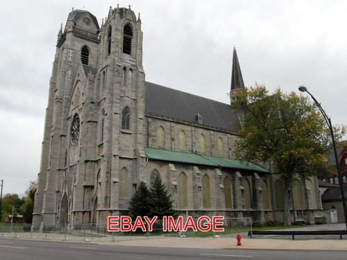 Foto büffel ann broadway - foto, ann's