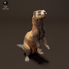 European Polecat stehend - 3D