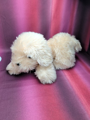 Tcm hund liegend kuscheltier - tcm,