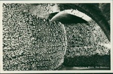 Ansichtskarte Oppenheim a. Rhein Das Beinhaus  (Nr.9579)