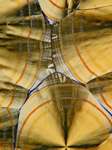Kunst auf alu dibond - kunst,