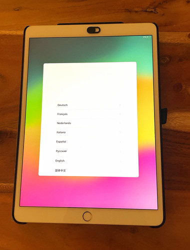 Apple ipad pro zoll - apple, 256