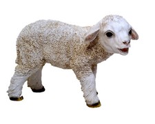 Muwse Lamm Schaf stehend