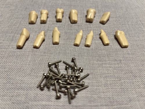 13x frasaco zähne und - zähne,