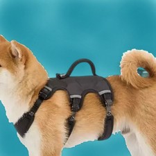 ⭐ Ferplast ergonomisches