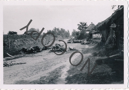 Foto militaria - foto,