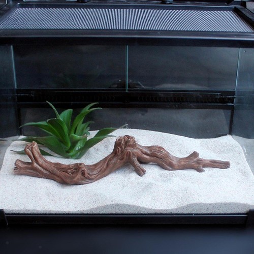 Reptilien ecke kletterzweig - reptilien-ecke,,