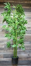 Kunstpflanze "Bambus" ca. 180cm 4-stämmig Betonfuss *Nur Abholung*