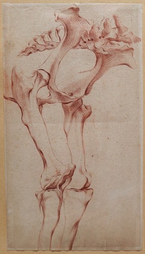 Altes gemälde pferd anatomie - altes,