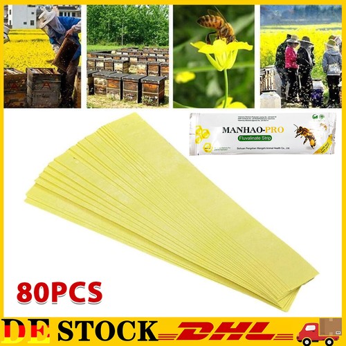 80x streifen bee biene - bee,