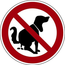 Schild Alu Hier kein Hundeklo