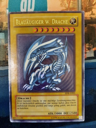 Blauäugiger drache - w.,