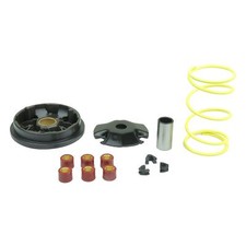 Variomatik Variator Speedmatic