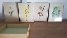 4 Bilder Kunsthandwerk DDR, gerahmte echte Trockenblumen-Bilder Zipfelhaus