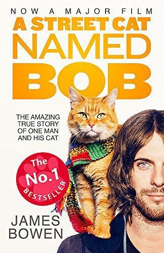 Street cat named bob - cat, how