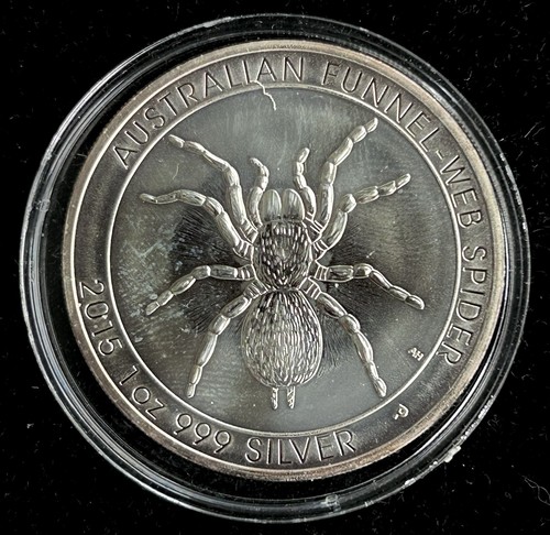 Australian funnel web spider - funnel-web,