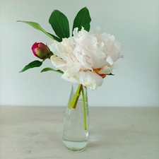 5 süße Mini Vasen Blumenvase