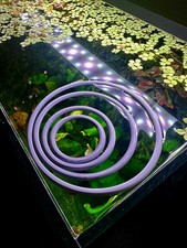 Schwimmender Aquarienring |