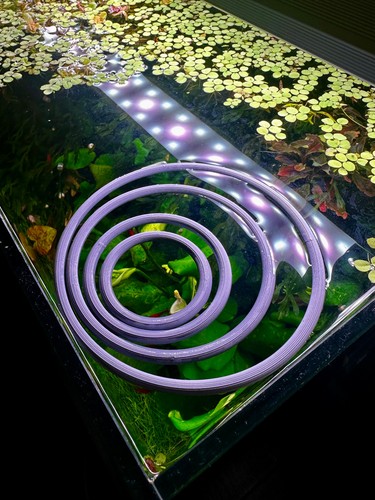 Schwimmender aquarienring - schwimmender, |