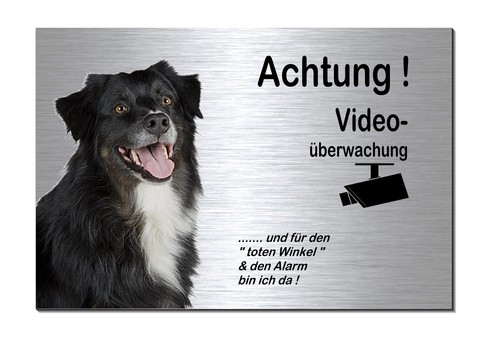 Hund-Border