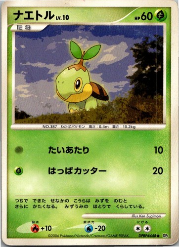 Pokemon chelast 448 - chelast,