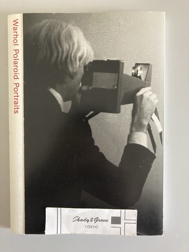 Andy warhol - warhol, polaroids