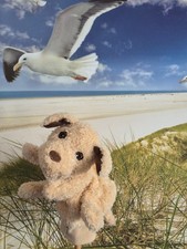 Handpuppe/Handschuh Hund