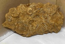 XXL-Natursteinplatte –