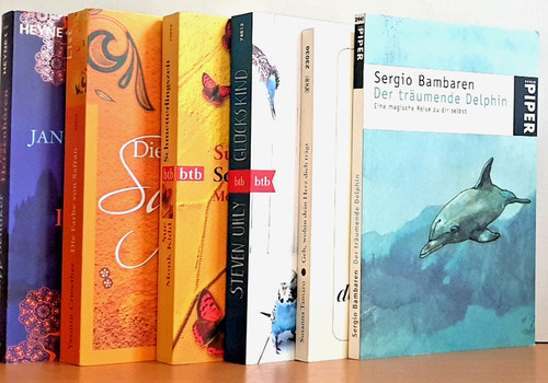 Buchpaket romane bücher - buchpaket+romane+6,