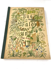 BuchAus Wald und Flur Pflanzen