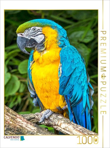 Calvendo puzzle farbenfrohe - puzzle,