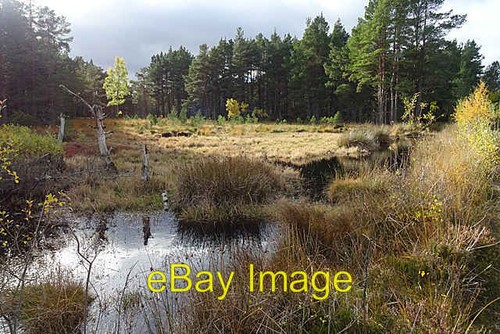 Photo 6x4 disappearing pond - 6x4,